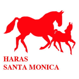 Logo o Imagen de mantención