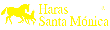 Haras Santa Mónica